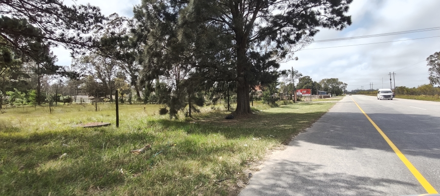 0 Bedroom Property for Sale in Greenbushes Eastern Cape